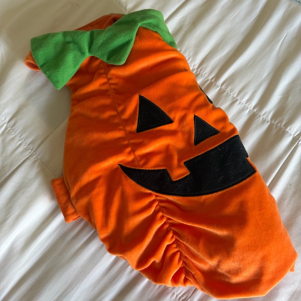 Pumpkin Pooch Dog Costume, Medium, Orange